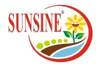 SUNSINE Enterprises Logo